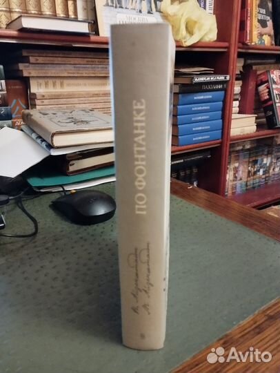 Вл. Айзенштадт. По Фонтанке