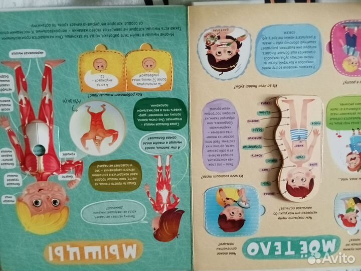 Тело человека книга