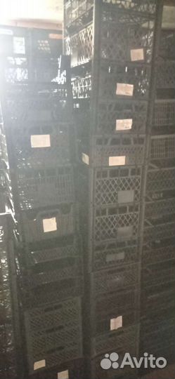 Ящики пластиковые