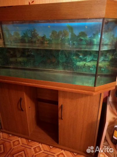 Аквариум