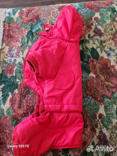 Одежда для мини йорка