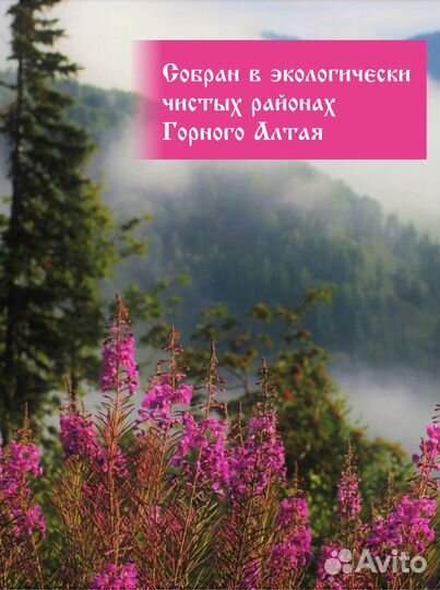 Иван чай ферментированный