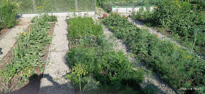 Дача 25 м² на участке 4 сот.