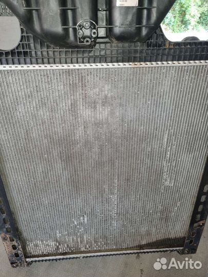 Радиатор ман тга