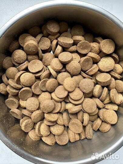 Сухой корм для собак