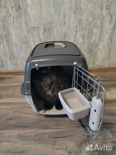 Переноска для кошек пластиковая