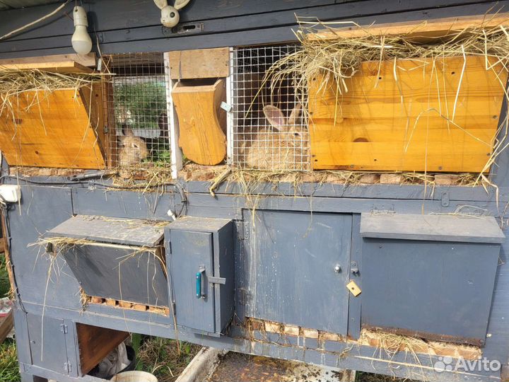 Кроличья ферма, клетки для кроликов