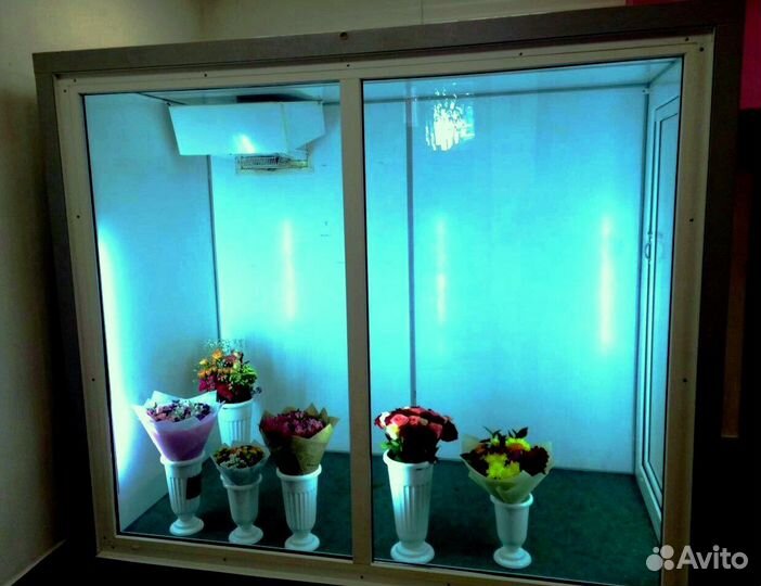 Холодильная камера для цветов