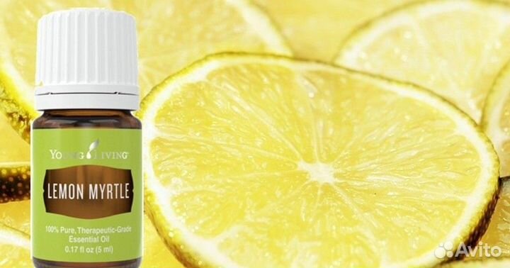 Лимонный мирт - эфирное масло Янг Ливинг