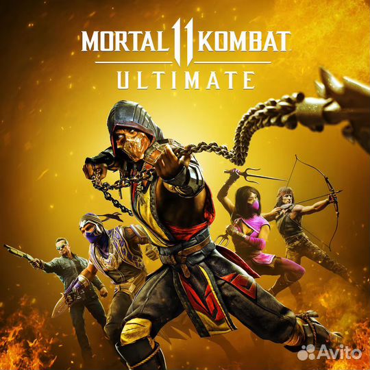 Mortal Kombat 11 Ultimate PS4/PS5 на русском