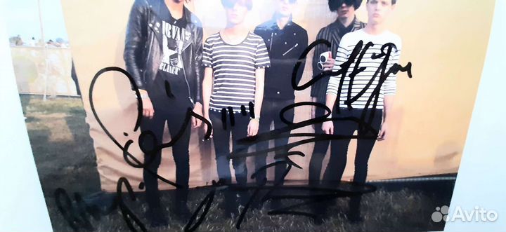 Автограф The horrors