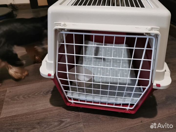 Контейнер для собак