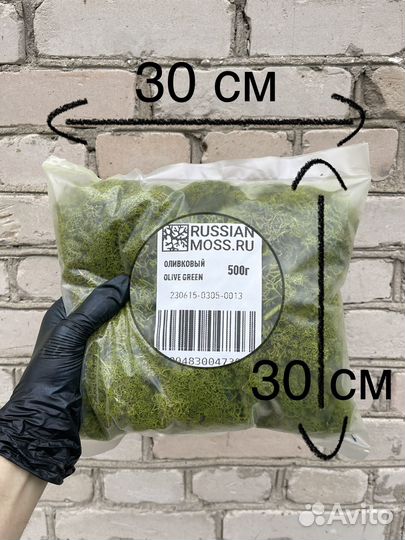 Стабилизированный мох ягель Зелёное Яблоко