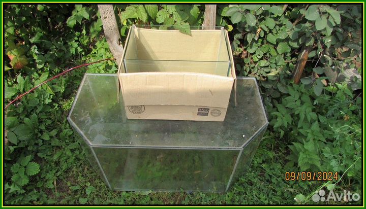 Два аквариума