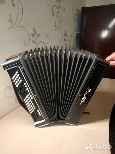 Баян Ростов Дон