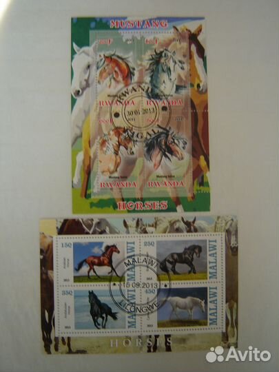 Фауна. Лошади