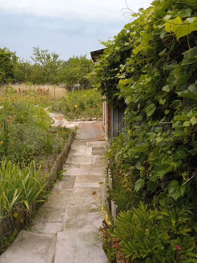 Участок 6 сот. (СНТ, ДНП)