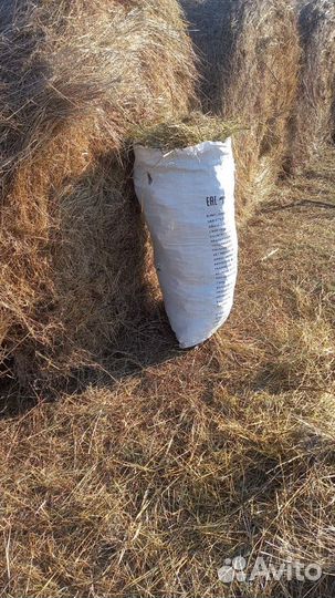 Сено луговое в мешках