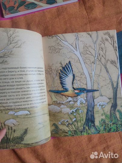 Детские книги, сказки, иллюстрированные