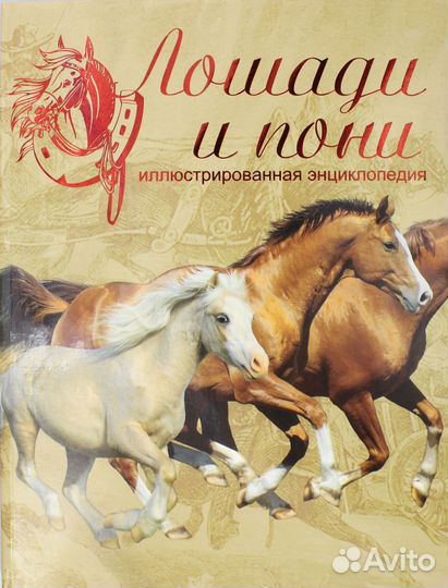 Книга Лошади и пони. Иллюстрированная энциклопедия