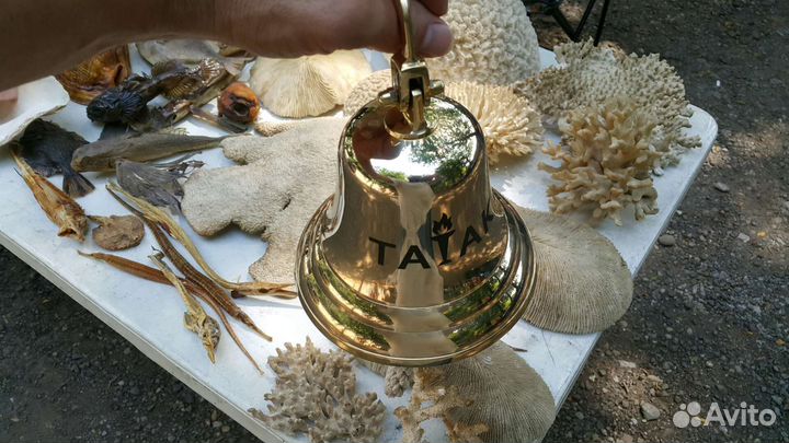 Рында штурвал корал рыба ракушка морские сувениры