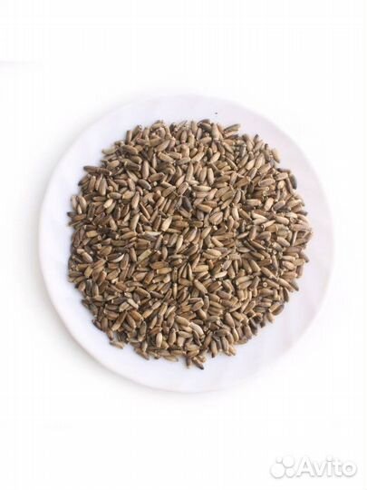 Семена расторопши / расторопша 1 кг