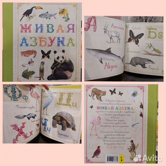 Букварь Азбука Цвета Моя первая азбука новые книги