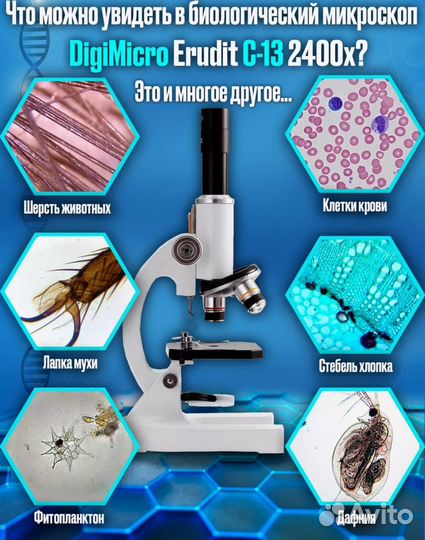 Микроскоп биологический Erudit C13