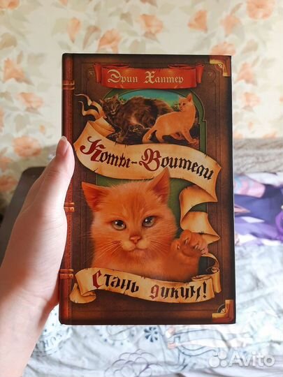 Коты воители