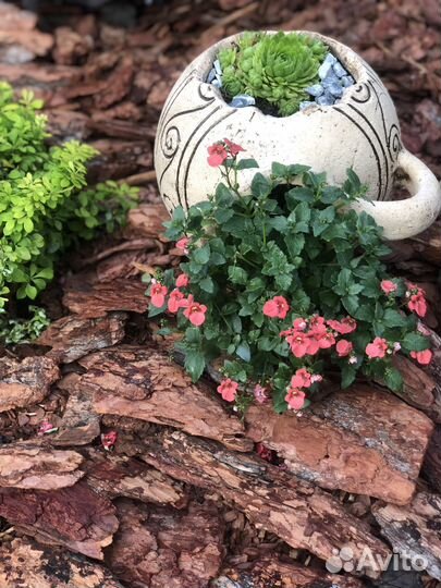 Кора лиственницы