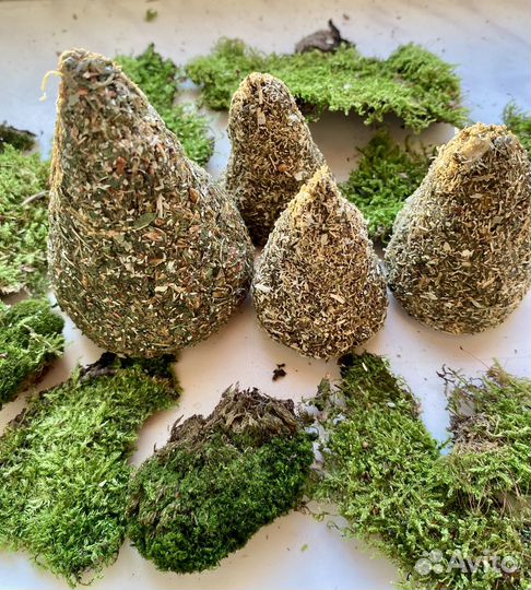 Ведьмина свеча