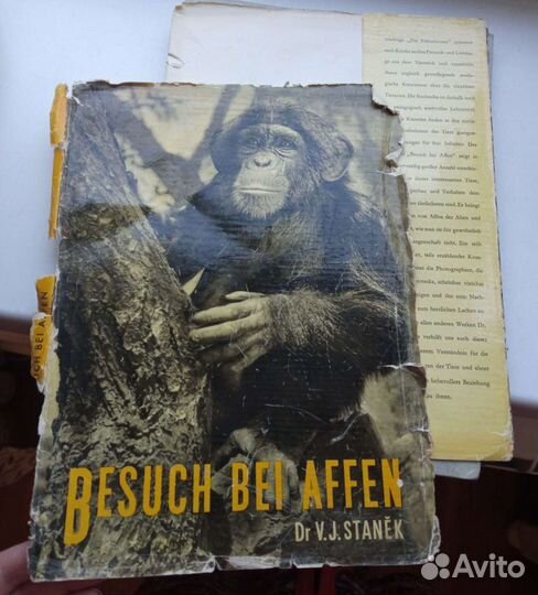 Книга о животных-обезьяны на чехословацком 1957 го