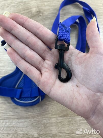 Шлейка для собаки