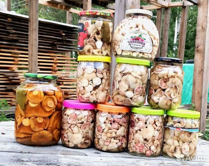 Грибы опята, маслята, рыжики