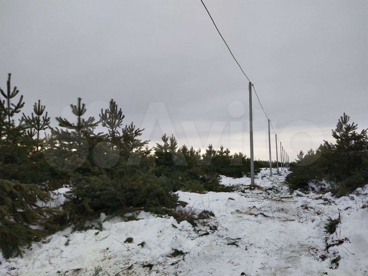 Участок 12,5 сот. (СНТ, ДНП)