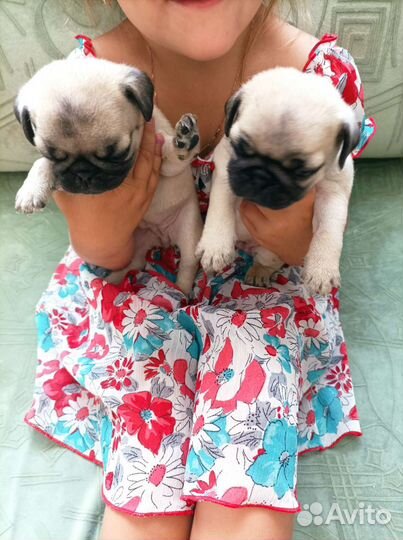 Подарок для любимой