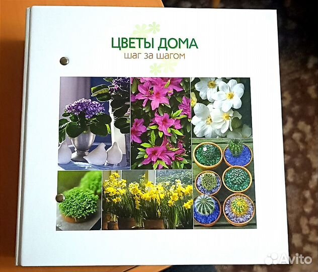 Энциклопедия комнатных растений