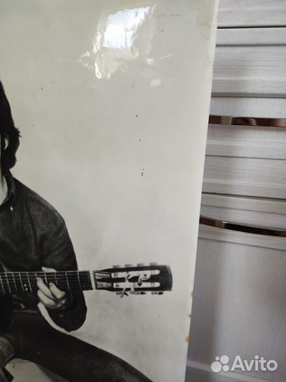 Высоцкий фото портрет