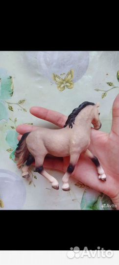 Лошади шляйх