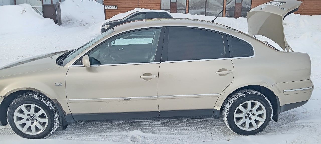 Volkswagen Passat: фото владельца