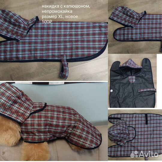 Товары для животных собак