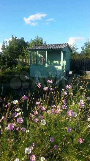 Участок 10 сот. (СНТ, ДНП)