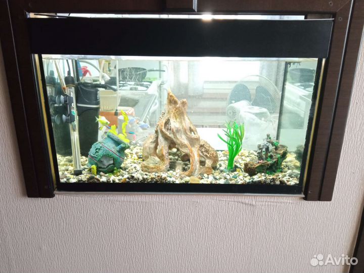 Аквариум