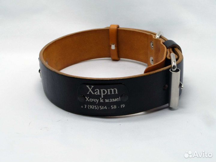 Ошейники для собак любых пород