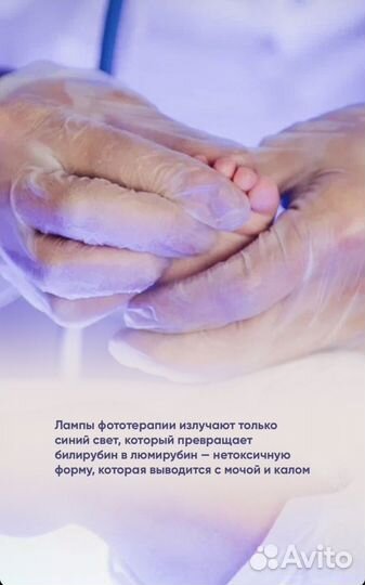 Сопровождение желтухи неонатологом+Аренда+Билитест