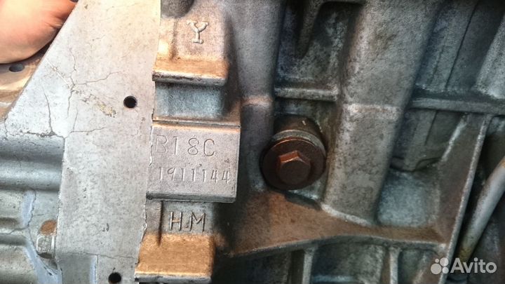 Блок цилиндров с поршнями Honda Acura / Integra