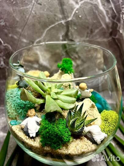 Подарок Флорариум
