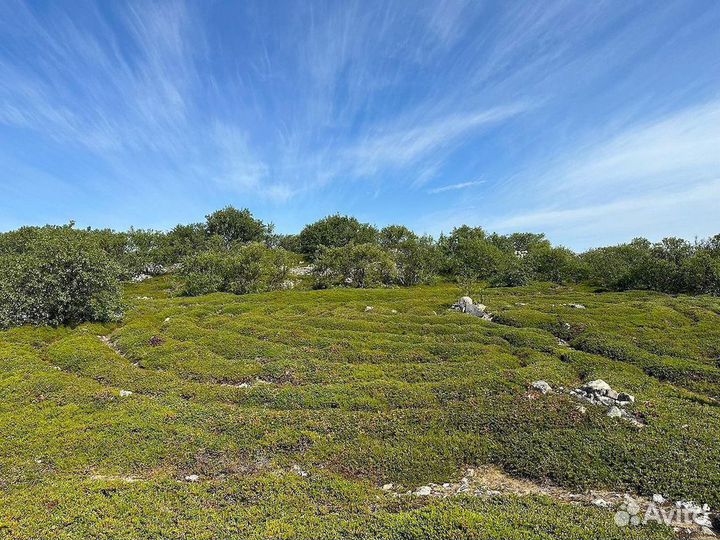 Недельный тур в Карелию. С питанием