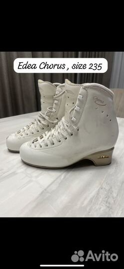 Edea chorus, 235