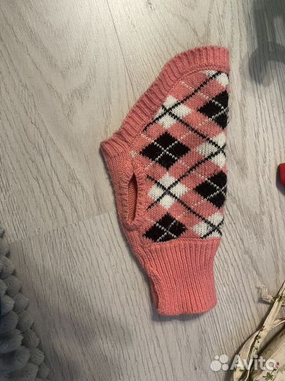 Одежда для маленьких собак или кошек